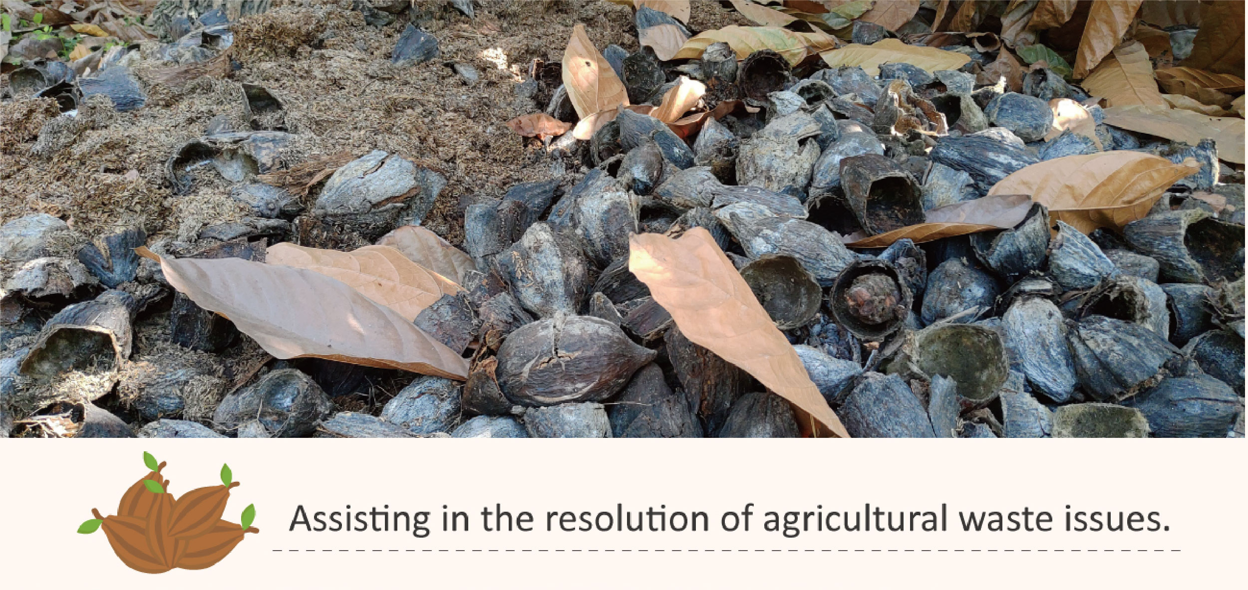 assisting in the resolution of agricultural waste issues