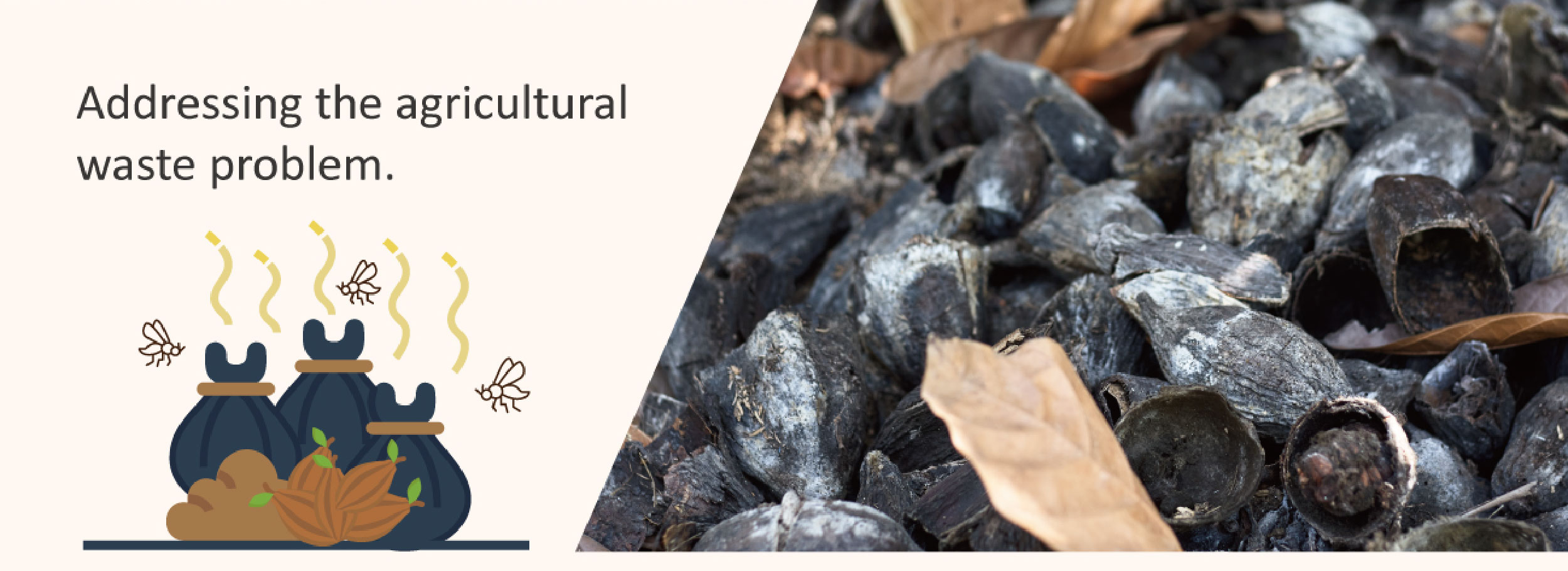 addressing the agricultural waste problem